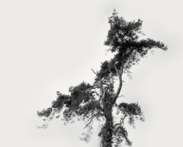 Sway