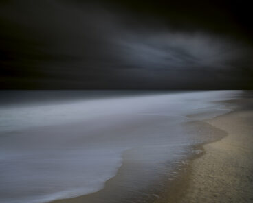 Tidelands / Study #III