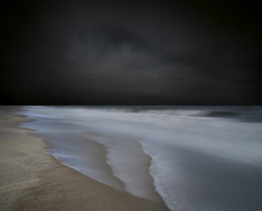 Tidelands / Study #I